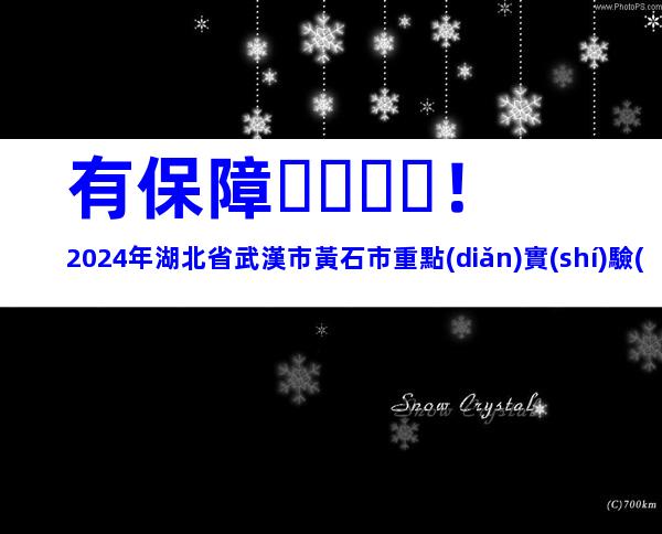 有保障！2024年湖北省武漢市黃石市重點(diǎn)實(shí)驗(yàn)室申報(bào)條件、步驟指南